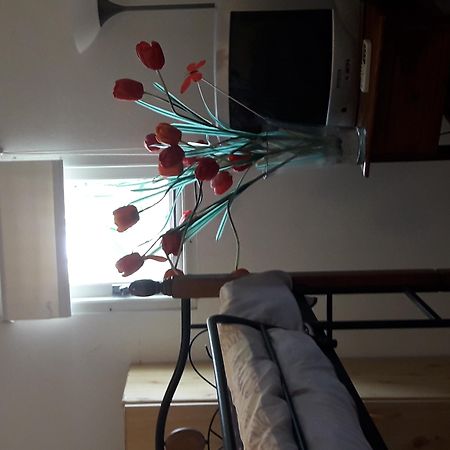 Palmita Hotel Hostel 오란제스타트 외부 사진