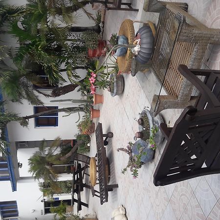 Palmita Hotel Hostel 오란제스타트 외부 사진