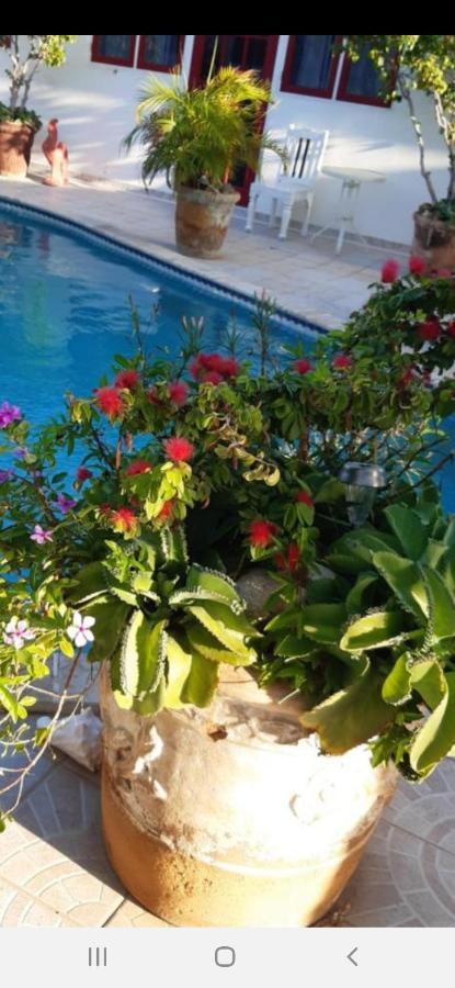 Palmita Hotel Hostel 오란제스타트 외부 사진