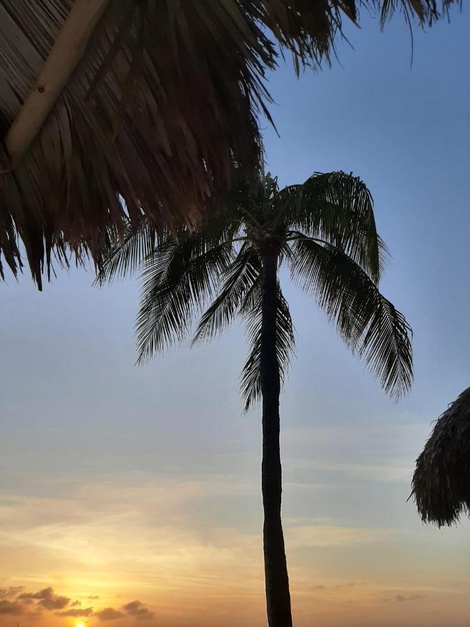 Palmita Hotel Hostel 오란제스타트 외부 사진