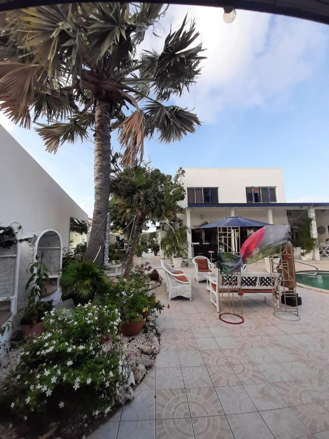 Palmita Hotel Hostel 오란제스타트 외부 사진