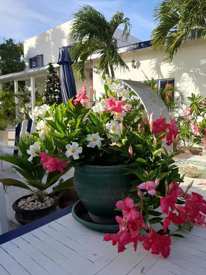 Palmita Hotel Hostel 오란제스타트 외부 사진