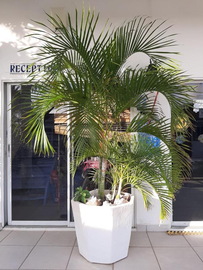 Palmita Hotel Hostel 오란제스타트 외부 사진