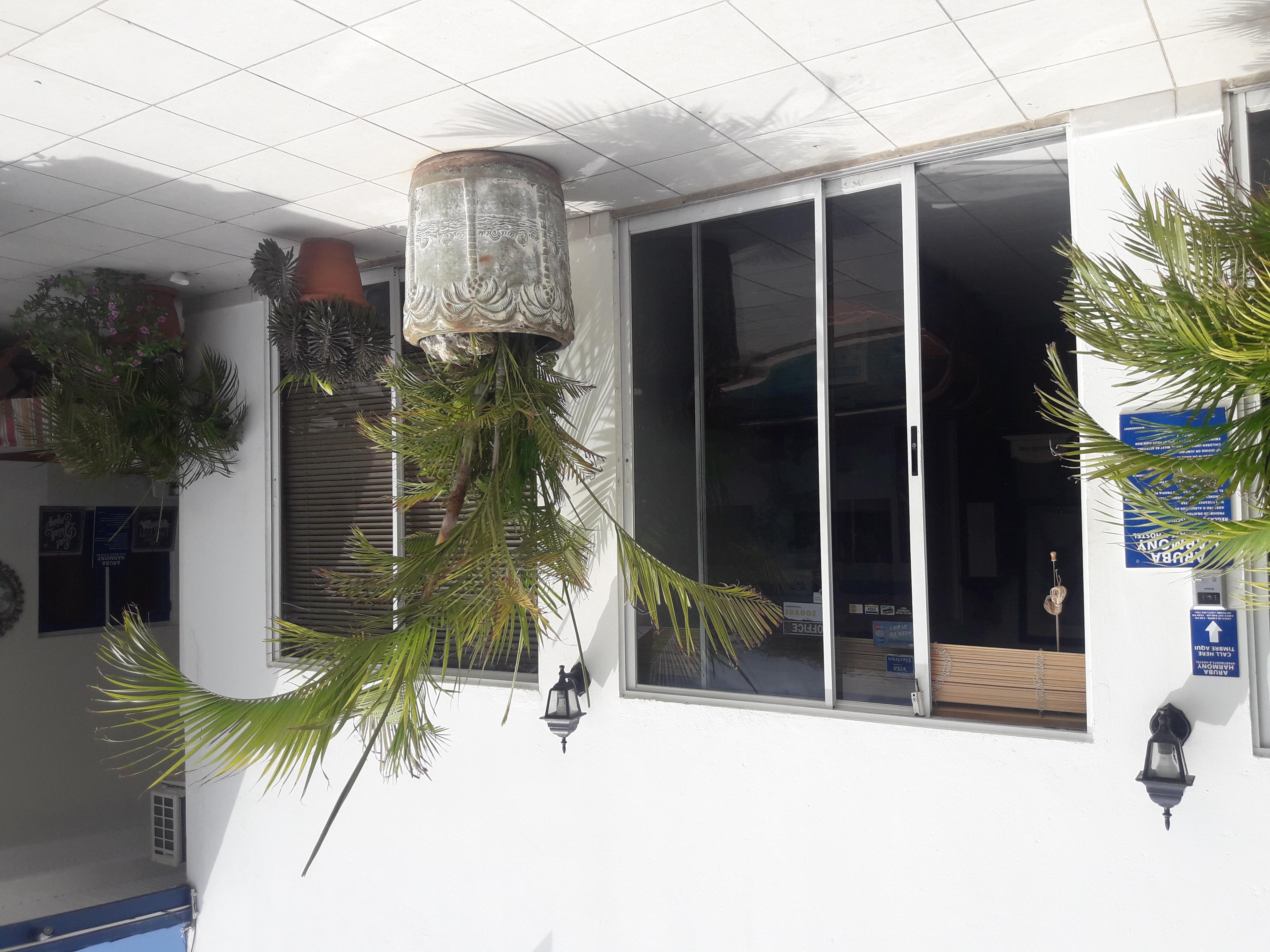 Palmita Hotel Hostel 오란제스타트 외부 사진