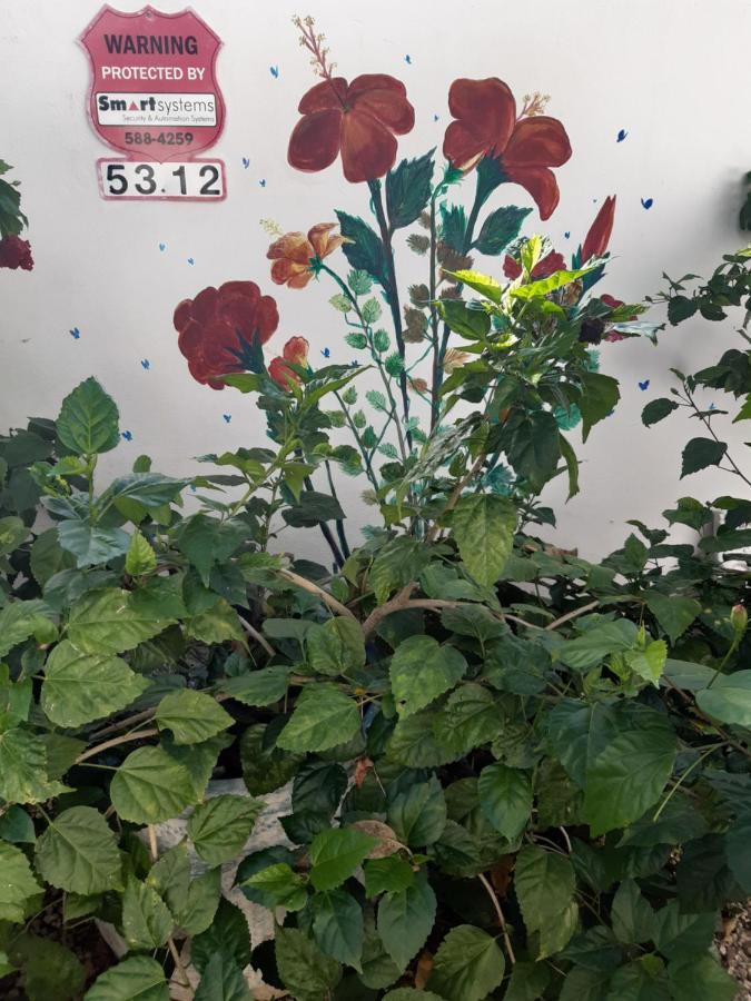 Palmita Hotel Hostel 오란제스타트 외부 사진
