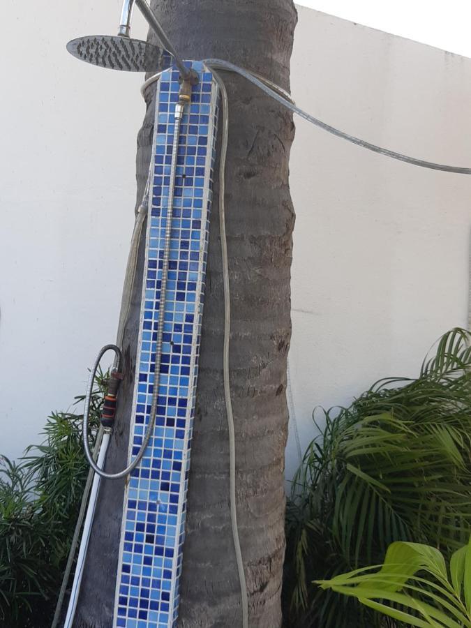 Palmita Hotel Hostel 오란제스타트 외부 사진