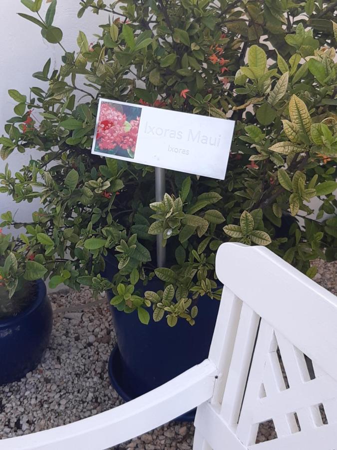 Palmita Hotel Hostel 오란제스타트 외부 사진