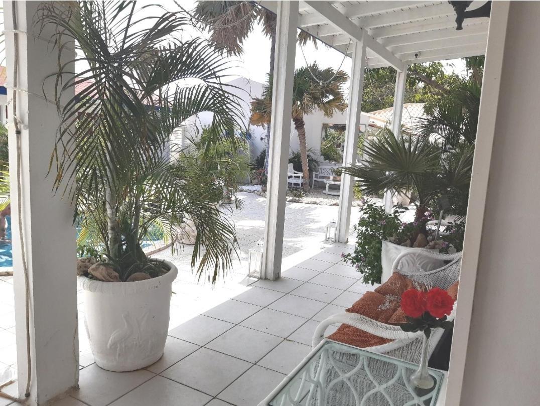 Palmita Hotel Hostel 오란제스타트 외부 사진